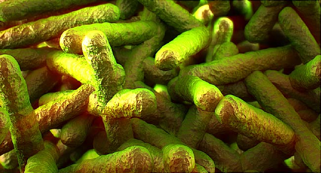 Listeria Fears Prompt Target, Fresh Market Recalls