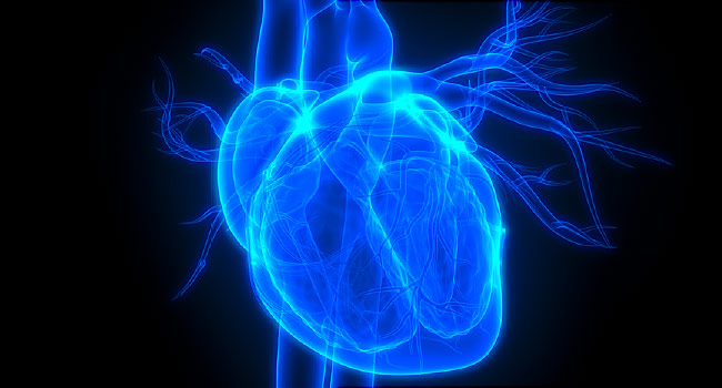 Variations Found in 'Normal' Resting Heart Rate